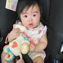 Load image into Gallery viewer, Link & Love Activity Plush W/ Teether