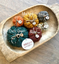 Load image into Gallery viewer, Knitted Pumpkins