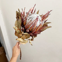 Load image into Gallery viewer, Dried King Protea