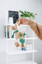 Load image into Gallery viewer, Link & Love Activity Plush W/ Teether