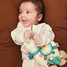 Load image into Gallery viewer, Link & Love Activity Plush W/ Teether