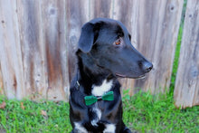 Load image into Gallery viewer, Forrest Green Snap-on Bow Tie - Black & White Interiors
