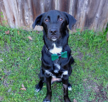 Load image into Gallery viewer, Forrest Green Snap-on Bow Tie - Black & White Interiors