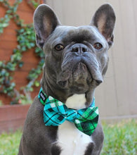Load image into Gallery viewer, Fabric Doggie Bow Tie