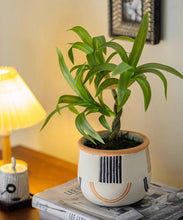 Load image into Gallery viewer, Mini Faux Potted Green Plant