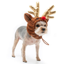 Load image into Gallery viewer, Dog Rudolph Hat