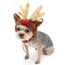 Load image into Gallery viewer, Dog Rudolph Hat