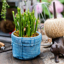 Load image into Gallery viewer, Blue Jean Cement Pot