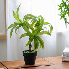 Load image into Gallery viewer, Mini Faux Potted Green Plant