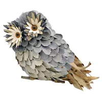Curl Wood Owl