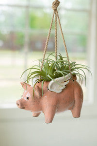 Flying Pig Hanging Planter