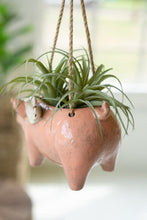 Load image into Gallery viewer, Flying Pig Hanging Planter