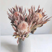 Load image into Gallery viewer, Dried Common Protea