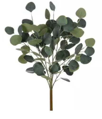 Silver Dollar Eucalyptus Spray