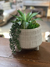 Load image into Gallery viewer, Succulent Mix In Cement Pot W/ Feet