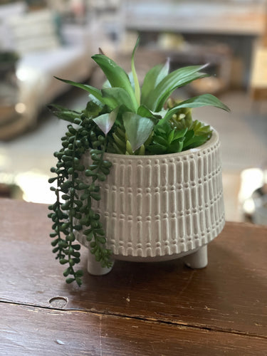 Succulent Mix In Cement Pot W/ Feet