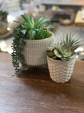 Load image into Gallery viewer, Succulent Mix In Cement Pot W/ Feet