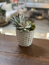 Load image into Gallery viewer, Succulent in Honeycomb Cement Pot