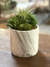 Load image into Gallery viewer, Succulent Mix in Marble Pot