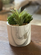 Load image into Gallery viewer, Succulent Mix in Marble Pot