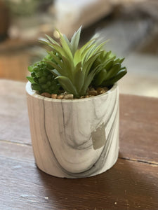 Succulent Mix in Marble Pot