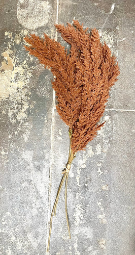 Faux Pampas Grass Stem- Brown