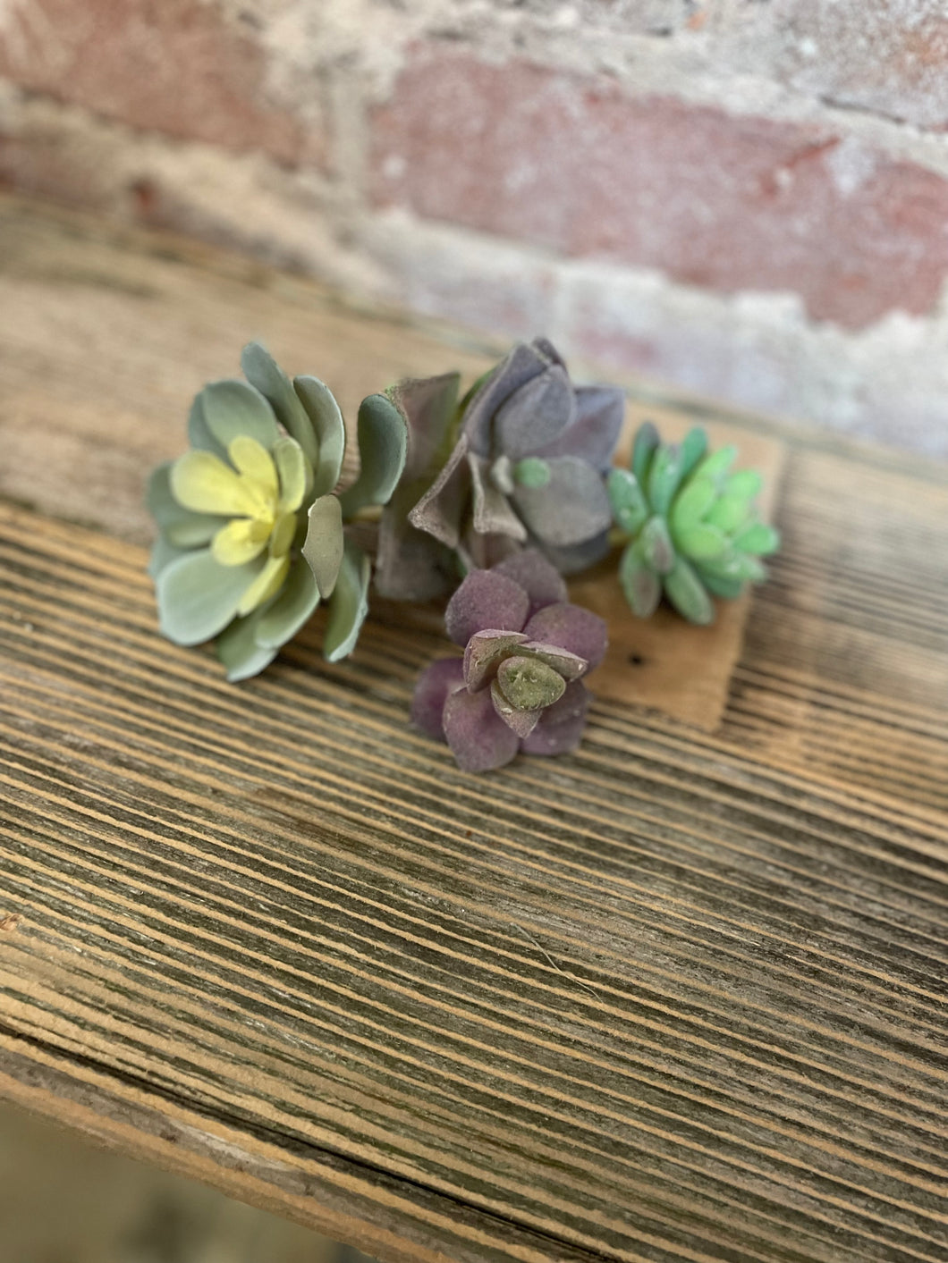 Misc. Individual Succulent Picks