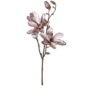 Velvet Magnolia Bundle