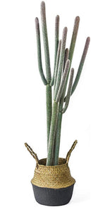 Faux Cactus in Seagrass Belly Basket