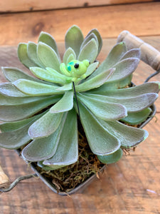 Glass Critter Plant Stick