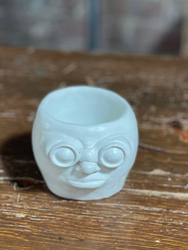 Handmade Succulent Face Pot