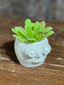 Handmade Succulent Face Pot