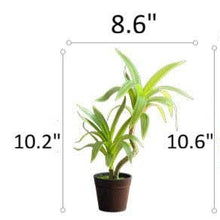 Load image into Gallery viewer, Mini Faux Potted Green Plant