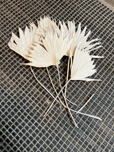 Small Bleached Palm Fan Bundle
