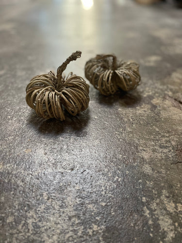Small Stick Pumpkin