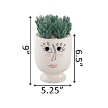 Load image into Gallery viewer, Picasso Succulent Planter