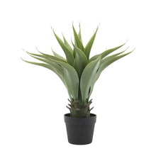 Load image into Gallery viewer, Faux Agave Plant in Pot