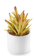 Load image into Gallery viewer, Mini Succulent Planter