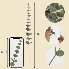 Load image into Gallery viewer, Eucalyptus Stem