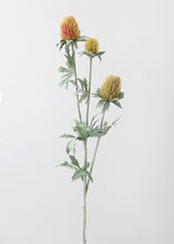 Load image into Gallery viewer, Yellow Thistle Wildflower