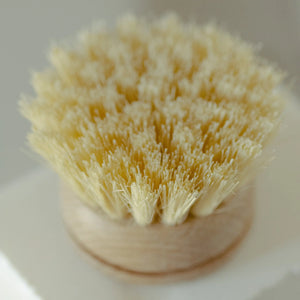 Replacement Head for Bamboo Dish Washing Brush