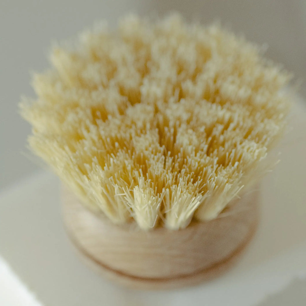 Replacement Head for Bamboo Dish Washing Brush