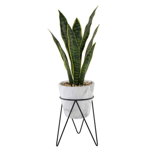 Snake Plant in Marble on Metal Stand