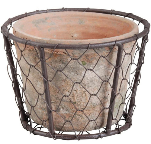 Terracotta Pot in Wire Basket