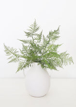 Load image into Gallery viewer, Faux Asparagus Fern