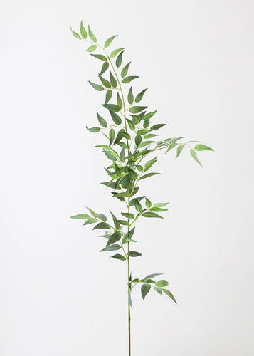 Faux Italian Ruscus Leaves