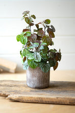 Load image into Gallery viewer, Artificial Begonia in Cement Pot