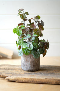 Artificial Begonia in Cement Pot