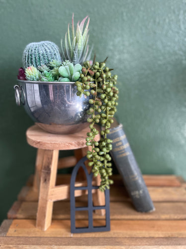 Bowl Succulent Planter