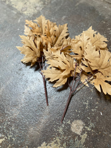 Tan Maple Pick
